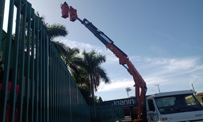 VÍDEO: Bombeiros usam guindaste para resgatar um Macaco