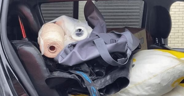 Operação da PF contra organização criminosa que agia no Porto de Santos apreende toneladas de drogas