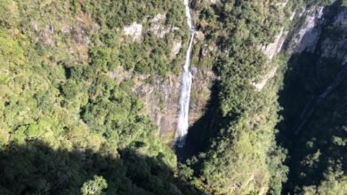 Expedição "Caminhos do Gelo" chega ao seu quarto dia