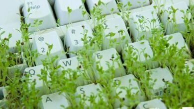 Artigo - A tecnologia verde para a sustentabilidade dos empreendimentos