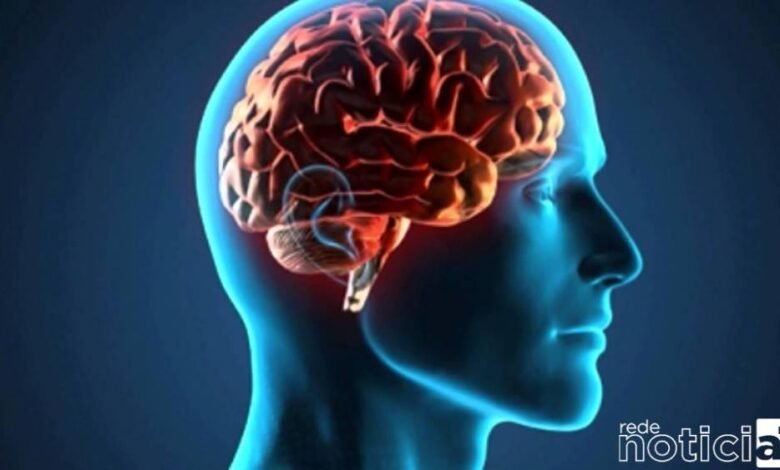 Envelhecimento do cérebro: Mitos e verdades sobre o assunto