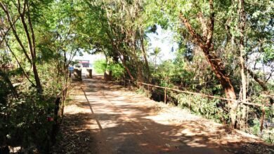 Licitação para reforma da ponte da Estrada das Palmeiras é aberta