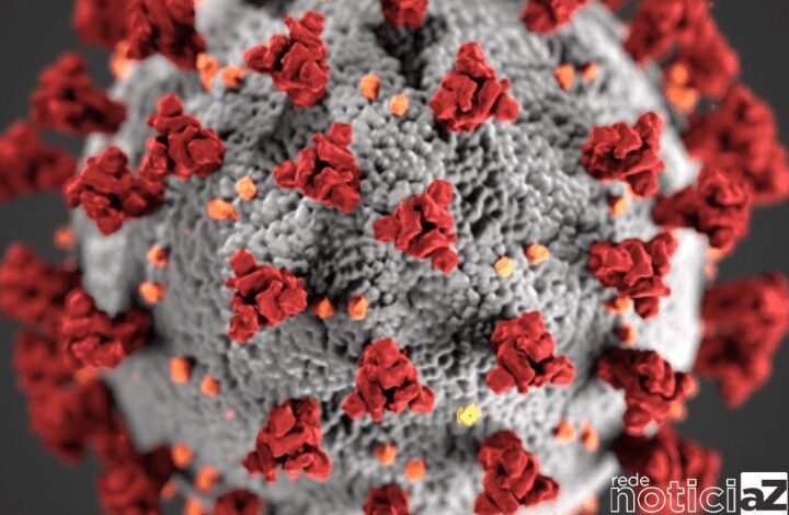 COVID 19: Brasil chega a 682 mil óbitos nesta semana