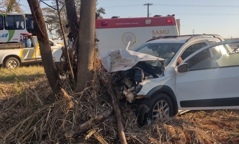 Motorista cruza Rodovia e bate o carro em árvore
