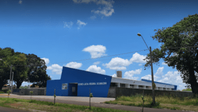 Cemei Lucia Regina Scavacini tem vacinação e palestras