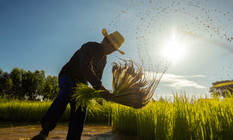Encontro promove orientações aos produtores rurais de Olímpia