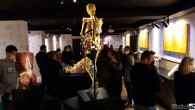 Faculdade de Medicina de Jundiaí inaugura Museu do Corpo Humano