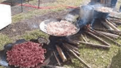 Recinto Paulo de Lima Corrêa recebe Festa Caipira