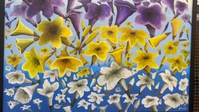 Museu Ruy Menezes recebe exposição Ipês do Chão Preto 2022