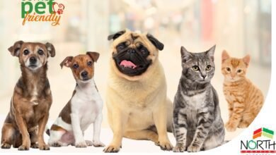 North Shopping Barretos amplia seu conceito "Pet Friendly"