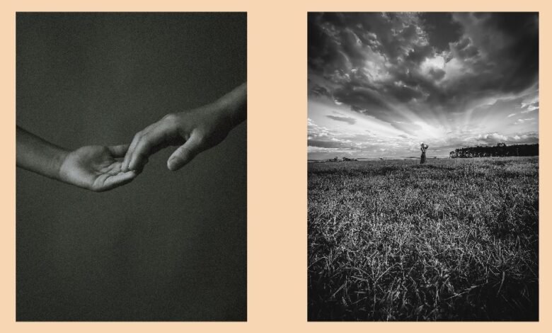 Arte no Shopping recebe a mostra "A Vida Acontecendo!" de Vanessa Amorim