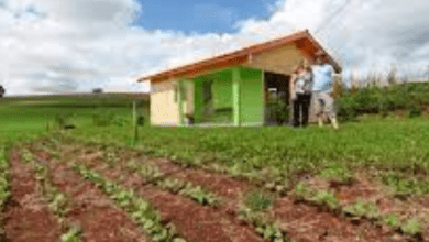 Casa da agricultura realiza cadastro