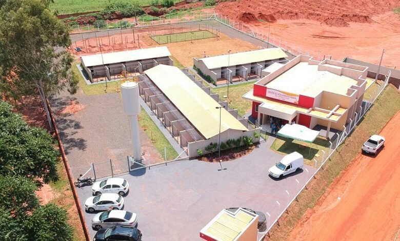 Centro de acolhimento animal reforça serviço e informa contato para emergências