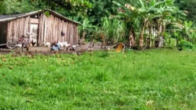 Suspeito de estupro contra criança indígena em São Vicente é preso