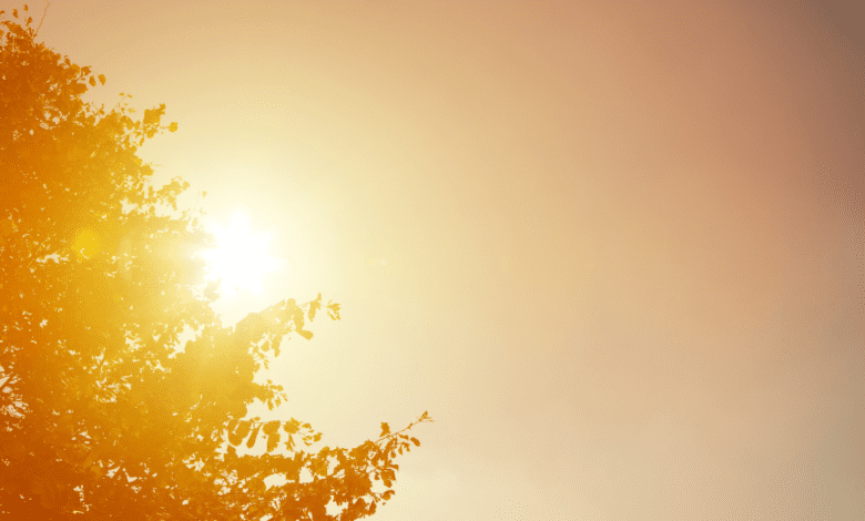 Cidade registra a menor umidade do ar em todo o País