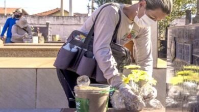 Combate à dengue: a importância da prevenção contínua