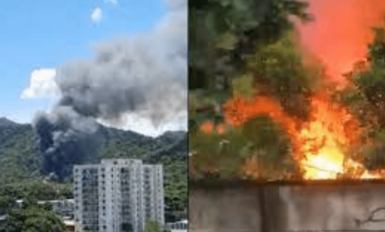 Incêndio atinge cenário de 'Todas as flores', novela que está no ar via Globoplay