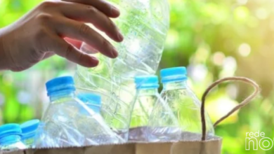 Descarte correto do plástico colabora com a proteção da natureza