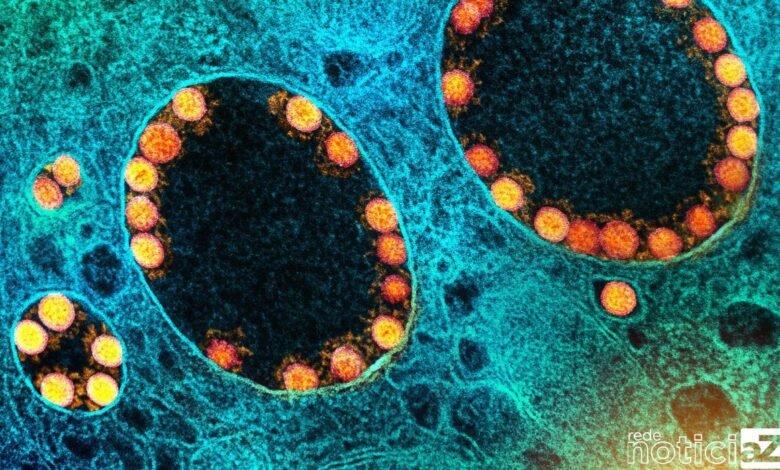 Nova subvariante da Ômicron é detectada no Brasil e Fiocruz diz que ela é mais contagiosa
