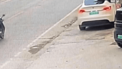 VÍDEO: Carro da Tesla falha, perde o controle e mata duas pessoas