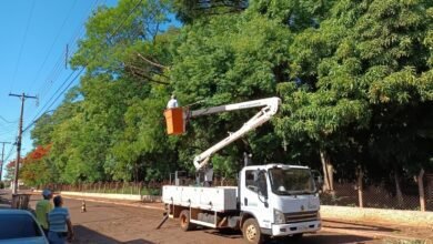 Com apoio da CPFL, prefeitura faz podas preventivas no zoológico