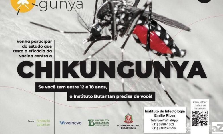 Instituto recruta voluntários para teste de vacina contra chikungunya