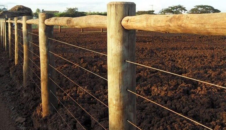 Polícia detém suspeito de furto em Barretos