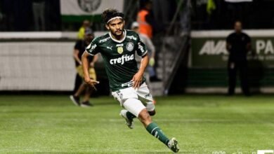 No jogo da taça, Palmeiras vence o América-MG e se despede da torcida