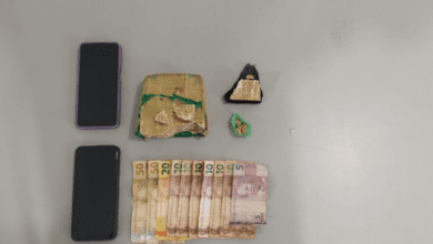 Com ajuda de cão farejador, polícia encontra droga escondida em terreno