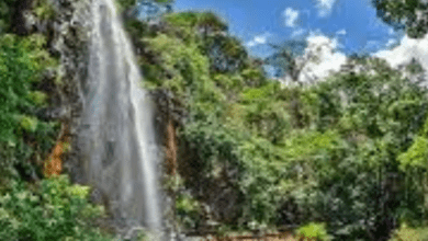 Lugares incríveis para viajar em São Paulo