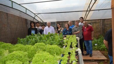 Com apoio da prefeitura E.E. Dalva Lellis inaugura horta escolar