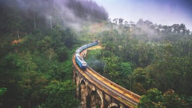 6 estadias de outro mundo para uma imersão na natureza