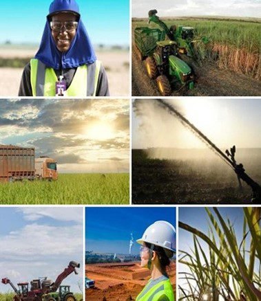 Prefeitura e Raízen realizam feirão de empregos com cerca de 200 vagas