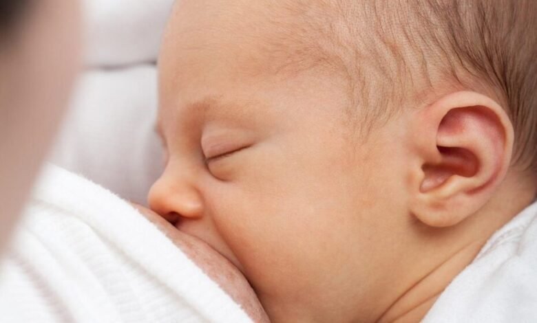 Saiba quais são os mitos e verdades sobre a amamentação