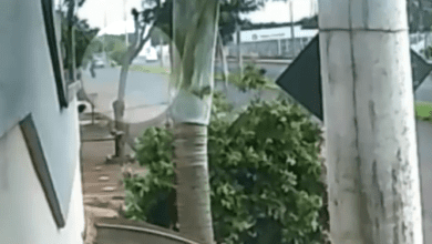A Polícia Civil investiga uma briga de trânsito que terminou com uma motociclista gravemente ferida na Avenida Alcebíades Menezes, em Barretos
