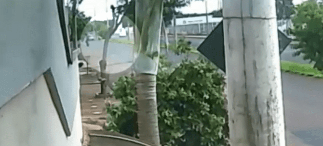 A Polícia Civil investiga uma briga de trânsito que terminou com uma motociclista gravemente ferida na Avenida Alcebíades Menezes, em Barretos