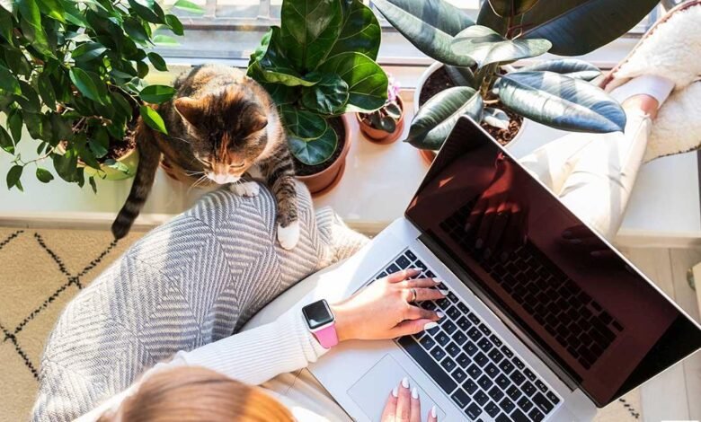 Artigo: A responsabilidade das empresas com a saúde mental dentro e fora dos ambientes corporativos 