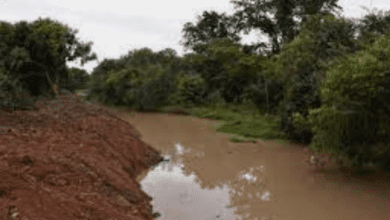 Homem encontra o corpo do irmão em Córrego Olhas D’água