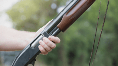 Homem fica ferido com tiro durante a caça de javali