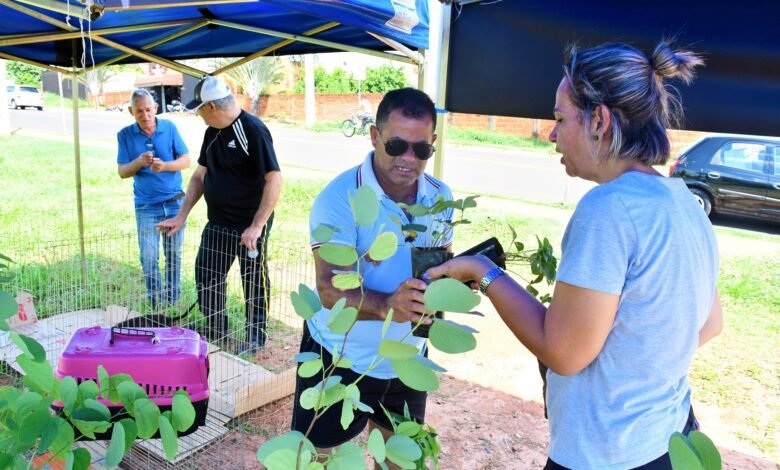 Projeto 'Tenda Itinerante' inicia programação de 2023 com distribuição de mudas
