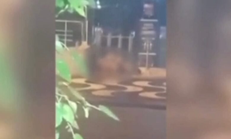 VÍDEO - Casal é flagrado fazendo sexo em frente a balada em Santos