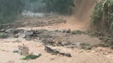 Chuva intensa causa 24 mortes e coloca litoral norte de SP em estado de calamidade