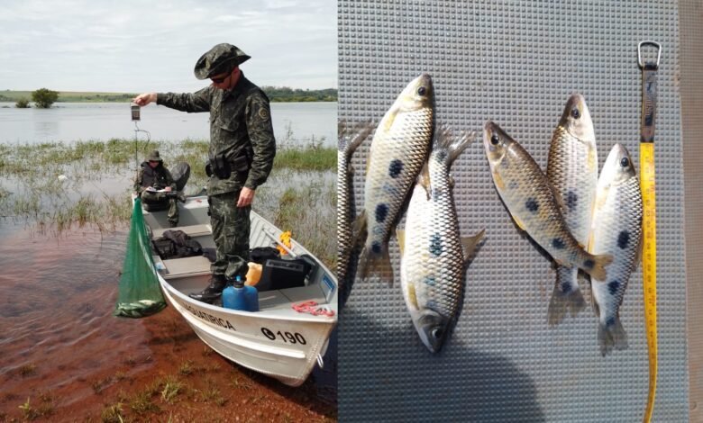 Pescador é multado por capturar peixes ilegalmente