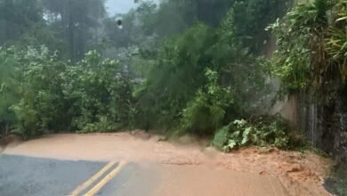 Mortes no Litoral Norte chegam a 46 e mais de 40 estão desaparecidas