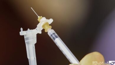 São Paulo alerta para a importância da vacina contra a febre amarela