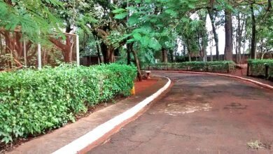 Zoológico reabre com protocolo de segurança em prevenção aos riscos por intempéries climáticas