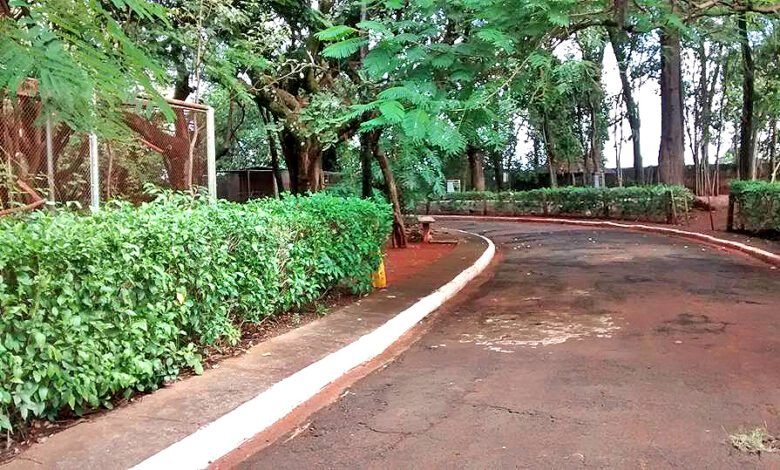 Zoológico reabre com protocolo de segurança em prevenção aos riscos por intempéries climáticas