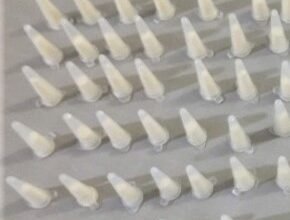 PM prende adolescentes após tentativa de fuga