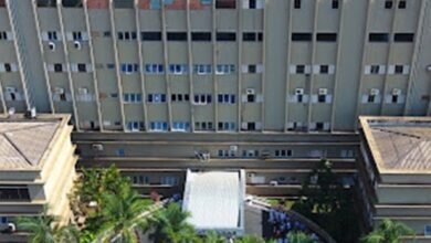 Polícia apura ataque de cães que deixou idoso ferido