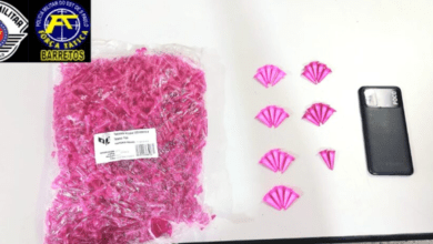 Mulher é presa em flagrante por tráfico de drogas